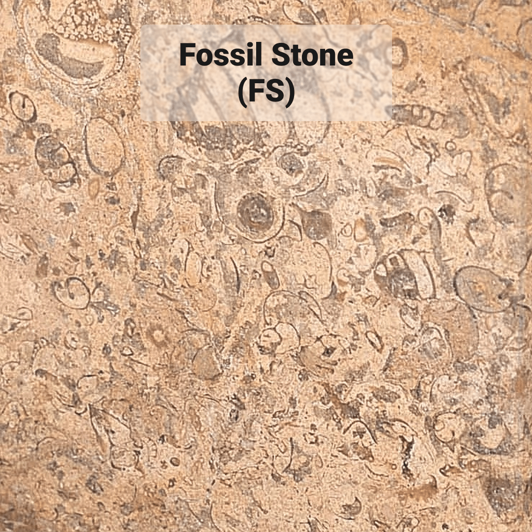Fossil Stone (FS)